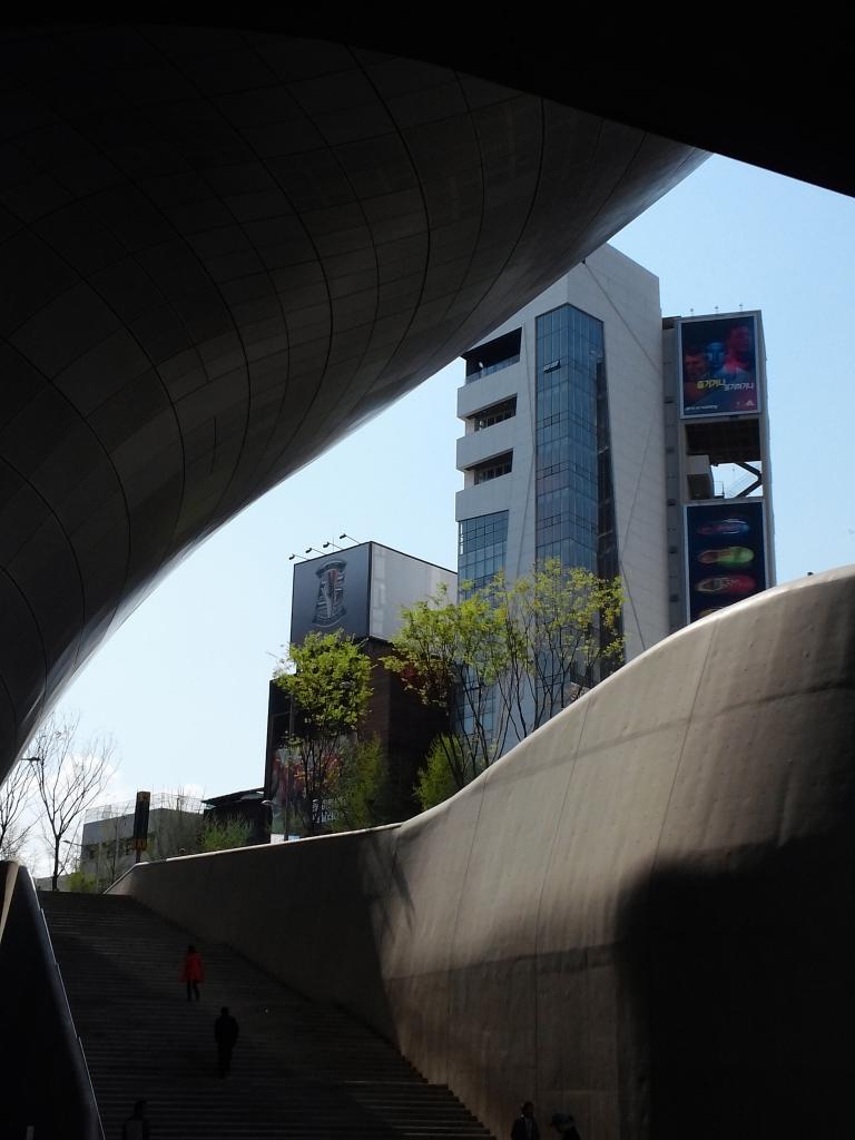 CAM01220.jpg
