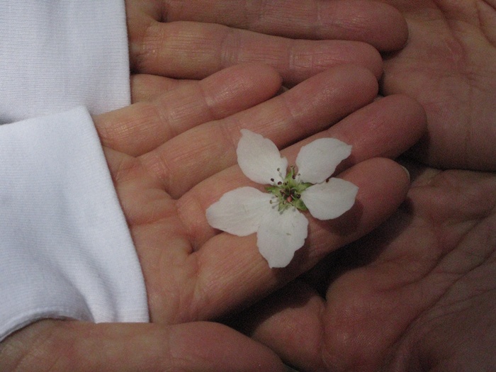 IMG_2660.JPG