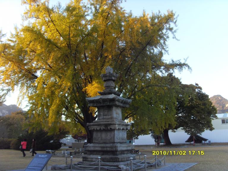 SDC14942.JPG