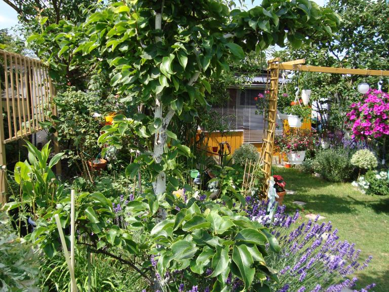 DSC00604.JPG