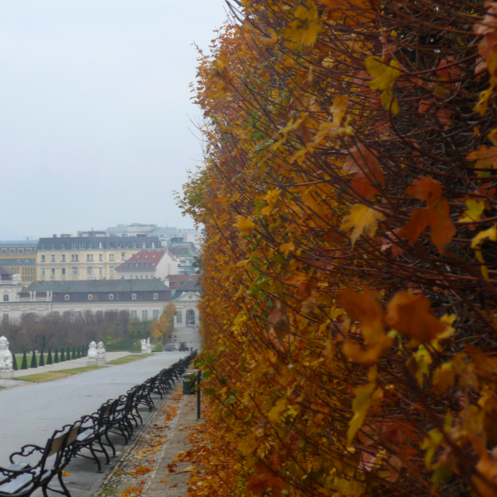 herbst1P1230830.JPG