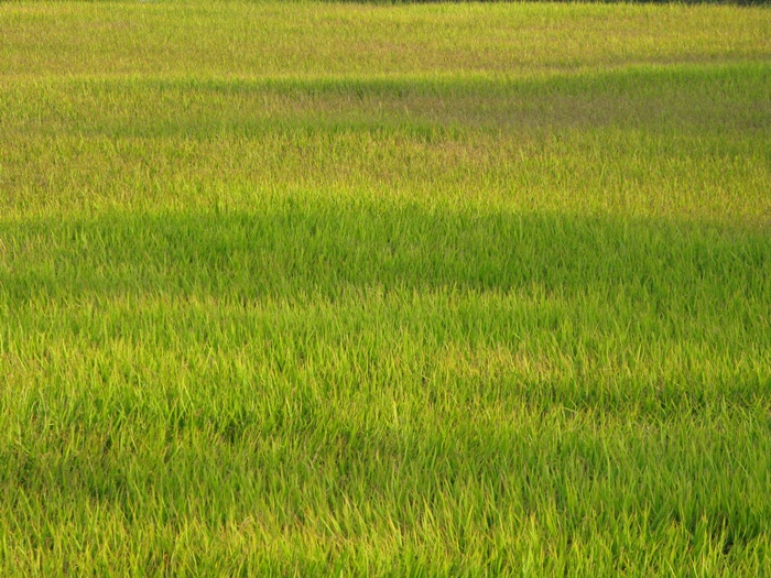 IMG_9120.JPG
