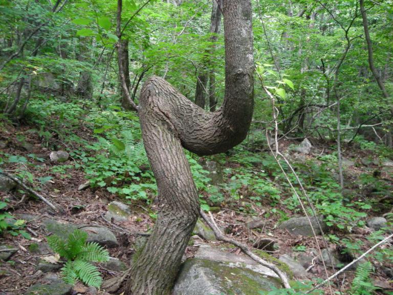 DSCN1931.JPG