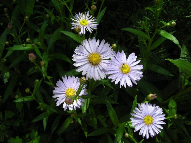 DSCN1935.JPG