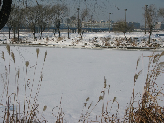 IMG_5851.JPG