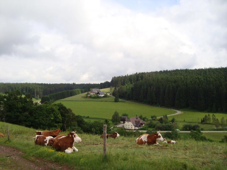 Juni 004_copy.jpg