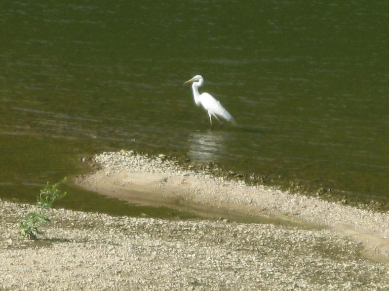 IMG_6080.JPG