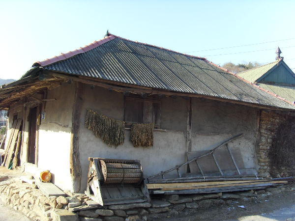 SDC12658_copy.jpg