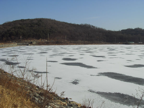 SDC12663_copy.jpg