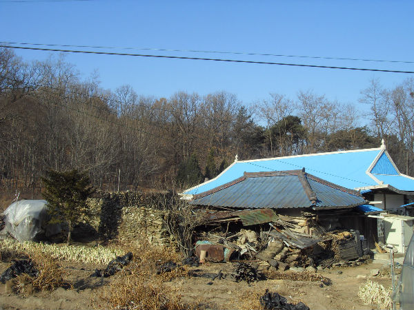 SDC12665_copy.jpg