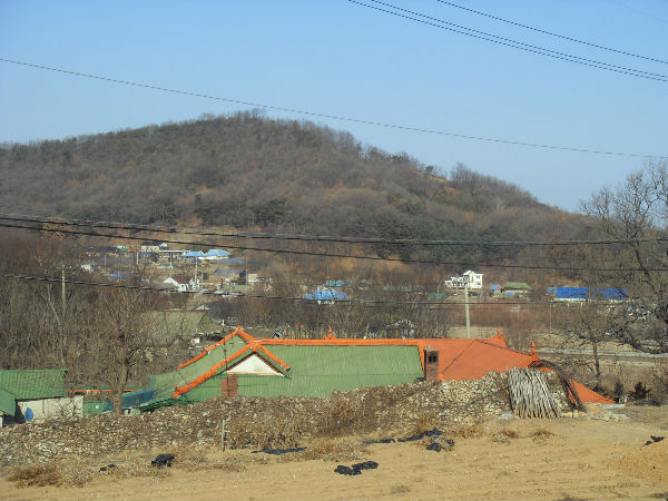 SDC12673_copy.jpg