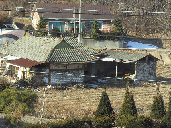 SDC12674_copy.jpg
