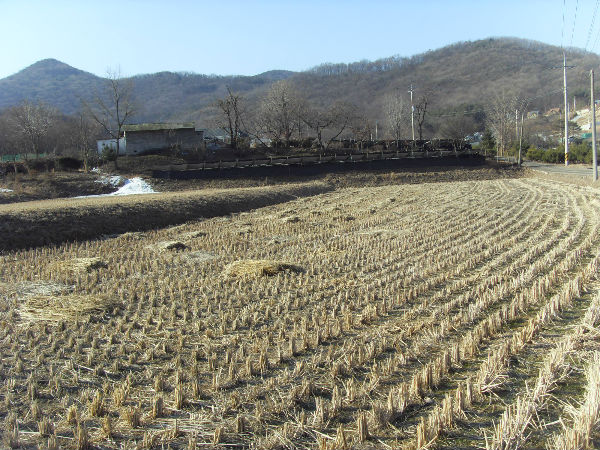 SDC12678_copy.jpg