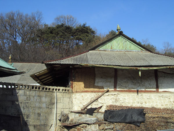 SDC12680_copy.jpg