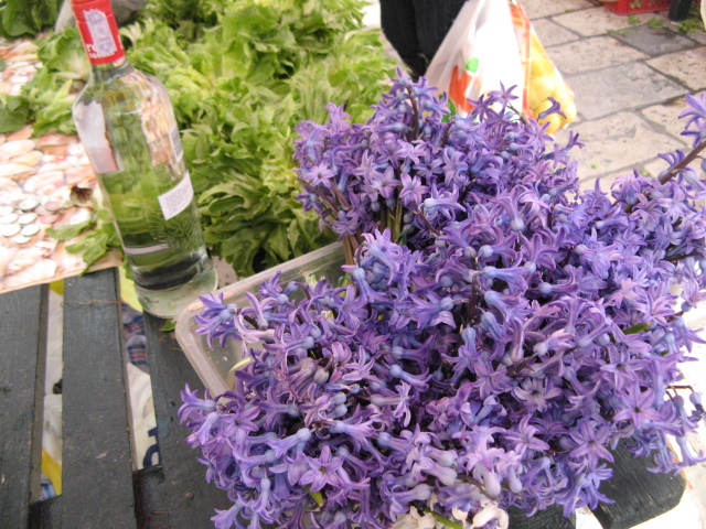 발칸2011 737.jpg
