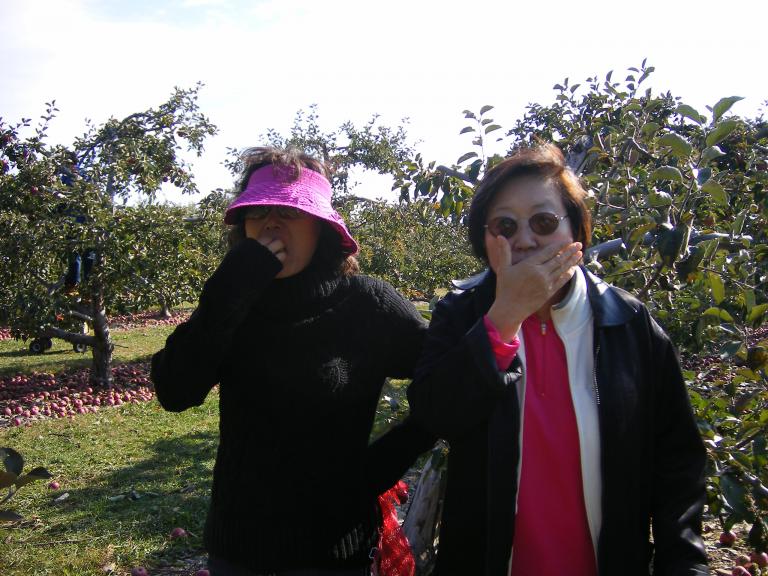 apple 006.jpg