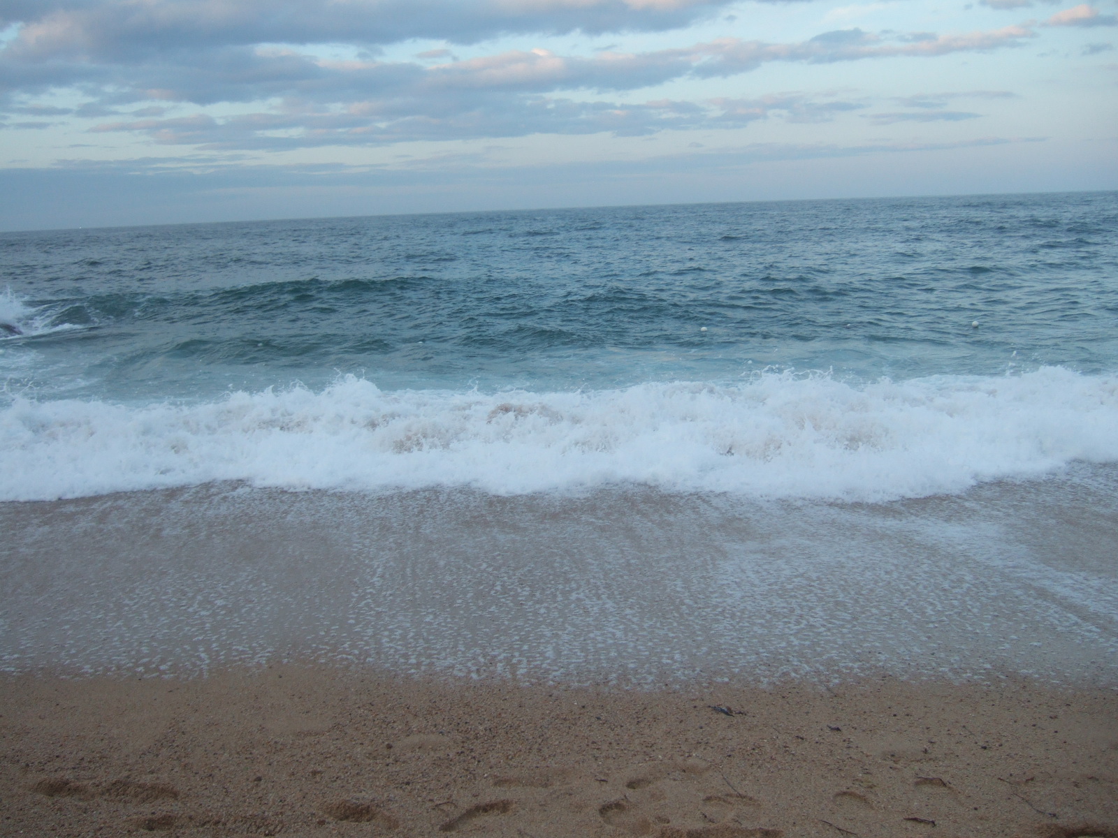 DSCF2554.JPG