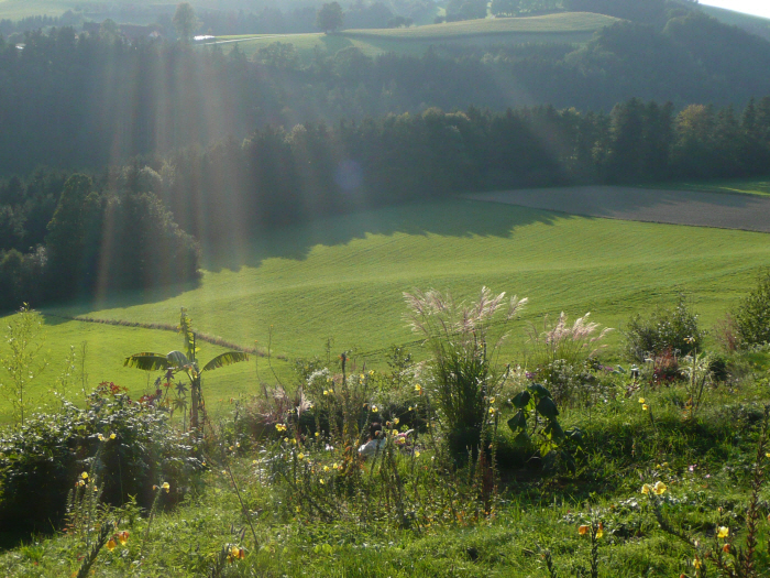 Herbst 7P1210633.JPG
