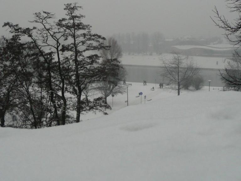 The Falling Snow 2.JPG