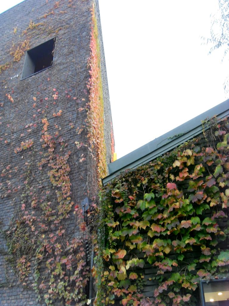 SDC11039.JPG