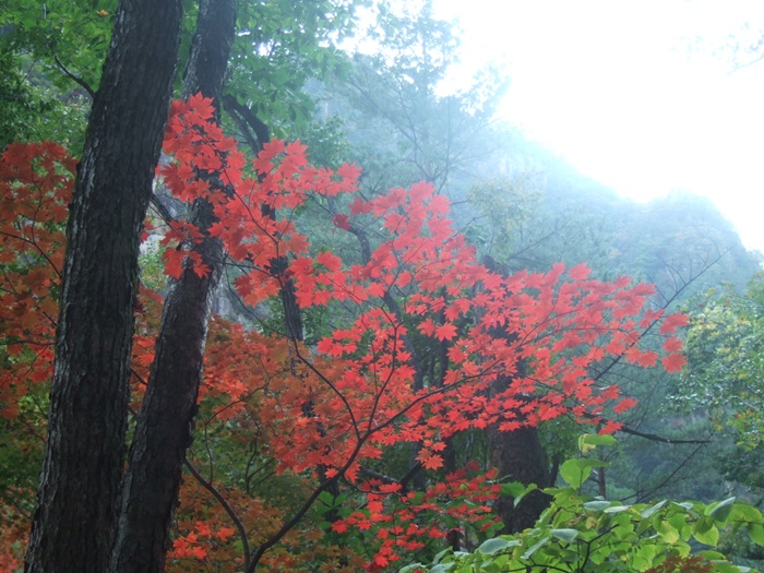 DSCF5587.JPG