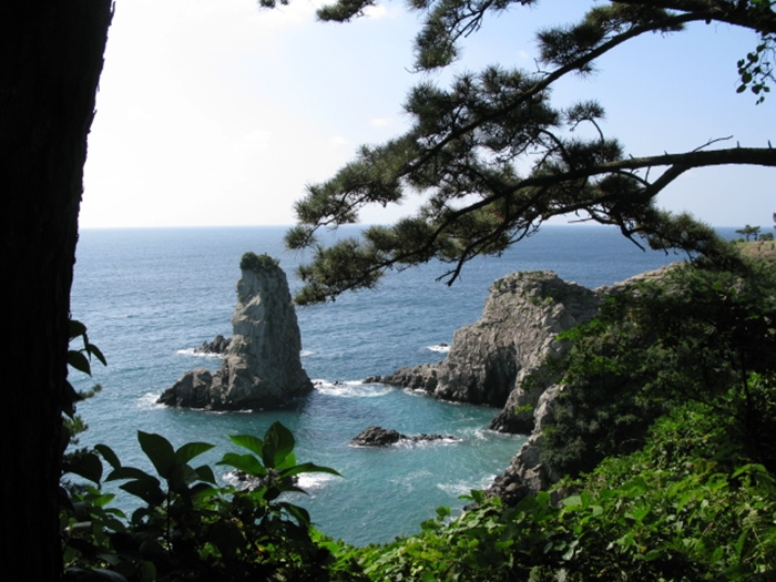 2009벌초IMG_2301.JPG