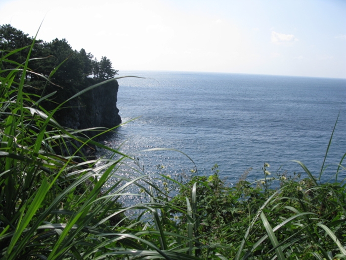 2009벌초IMG_2306.JPG