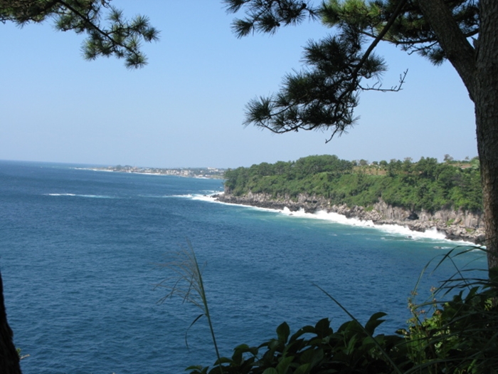 2009벌초IMG_2307.JPG