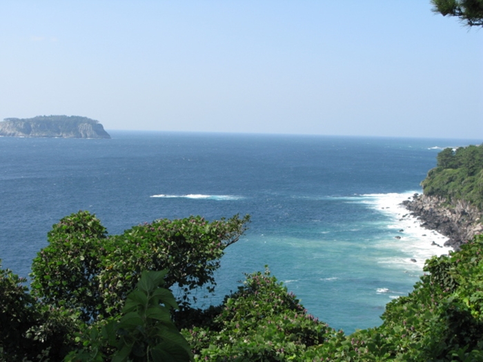 2009벌초IMG_2310.JPG