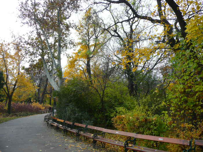 Stadtpark 4P1230934.JPG
