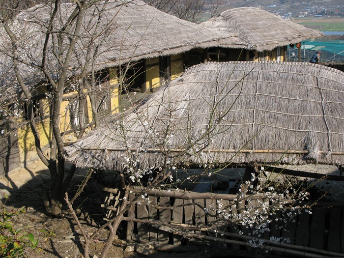 IMG_6899.JPG