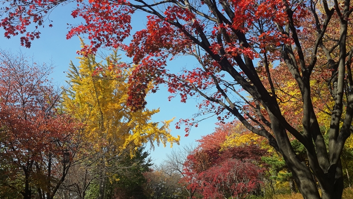 20141104_1209261411제주도.jpg