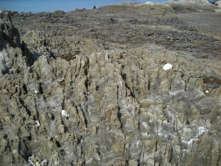 DSCN1705.JPG