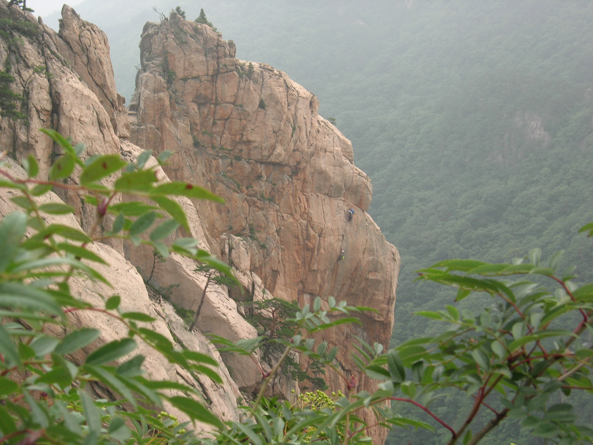 DSCN4452.JPG