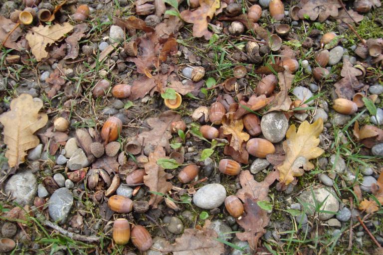 15.okt.2011 058.JPG