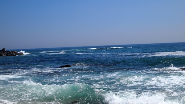 P1010048.JPG