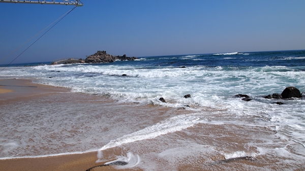 P1010050.JPG