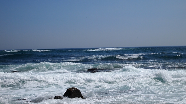 P1010052.JPG