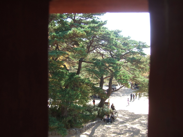 DSCF6082.JPG