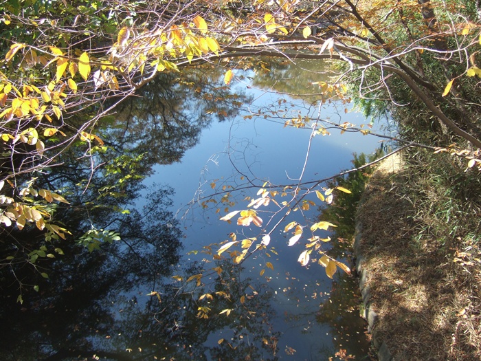 DSCF6090.JPG
