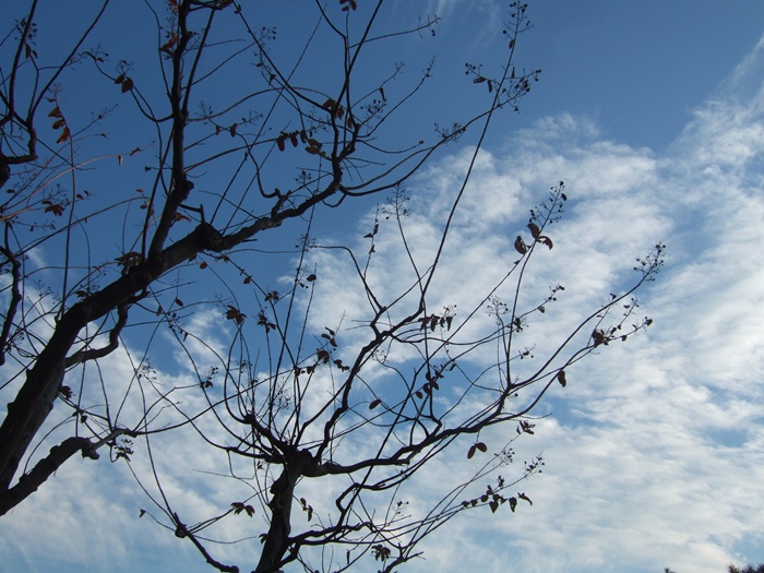 DSCF6145.JPG