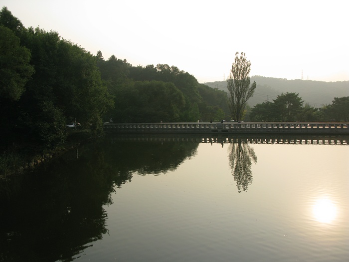 IMG_3476.JPG
