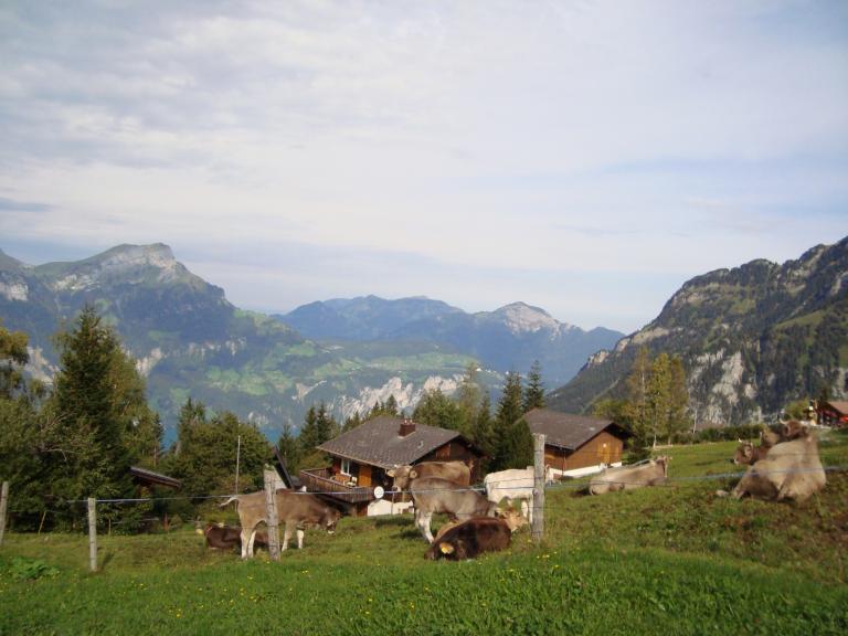 Wandern Fl?elen  Sept.2011 002.JPG