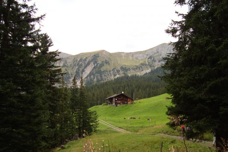Wandern Fl?elen  Sept.2011 006.JPG