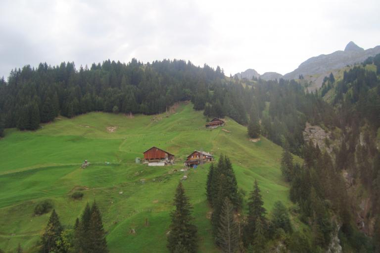 Wandern Fl?elen  Sept.2011 059.JPG