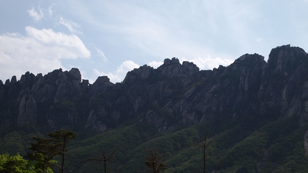 P1010073.JPG