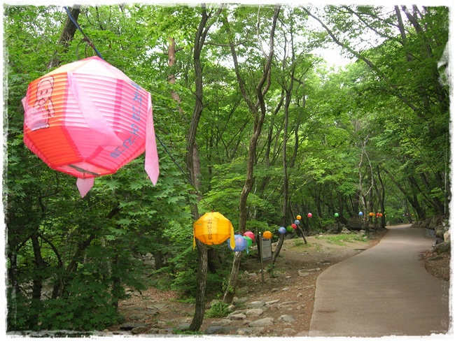 DSCN6292.JPG