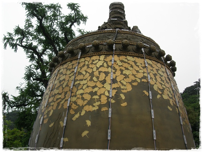 DSCN6300.JPG