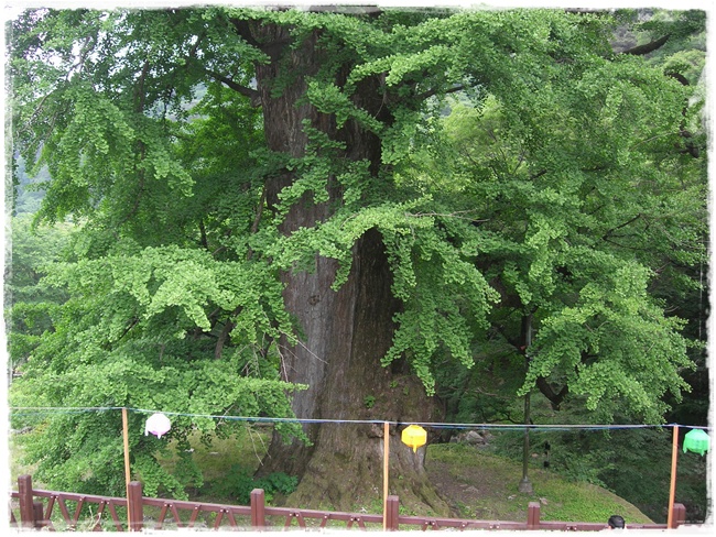 DSCN6305.JPG