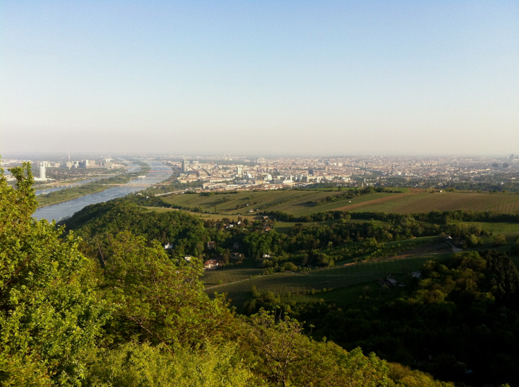 Donau 1 IMG_1334.JPG